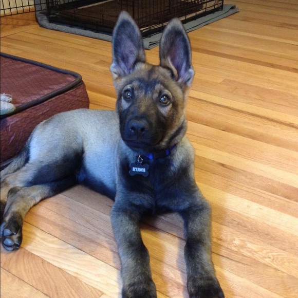 Meet your Posher, Joe - Picture 1 of 1